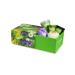 Lush Kitchen Box