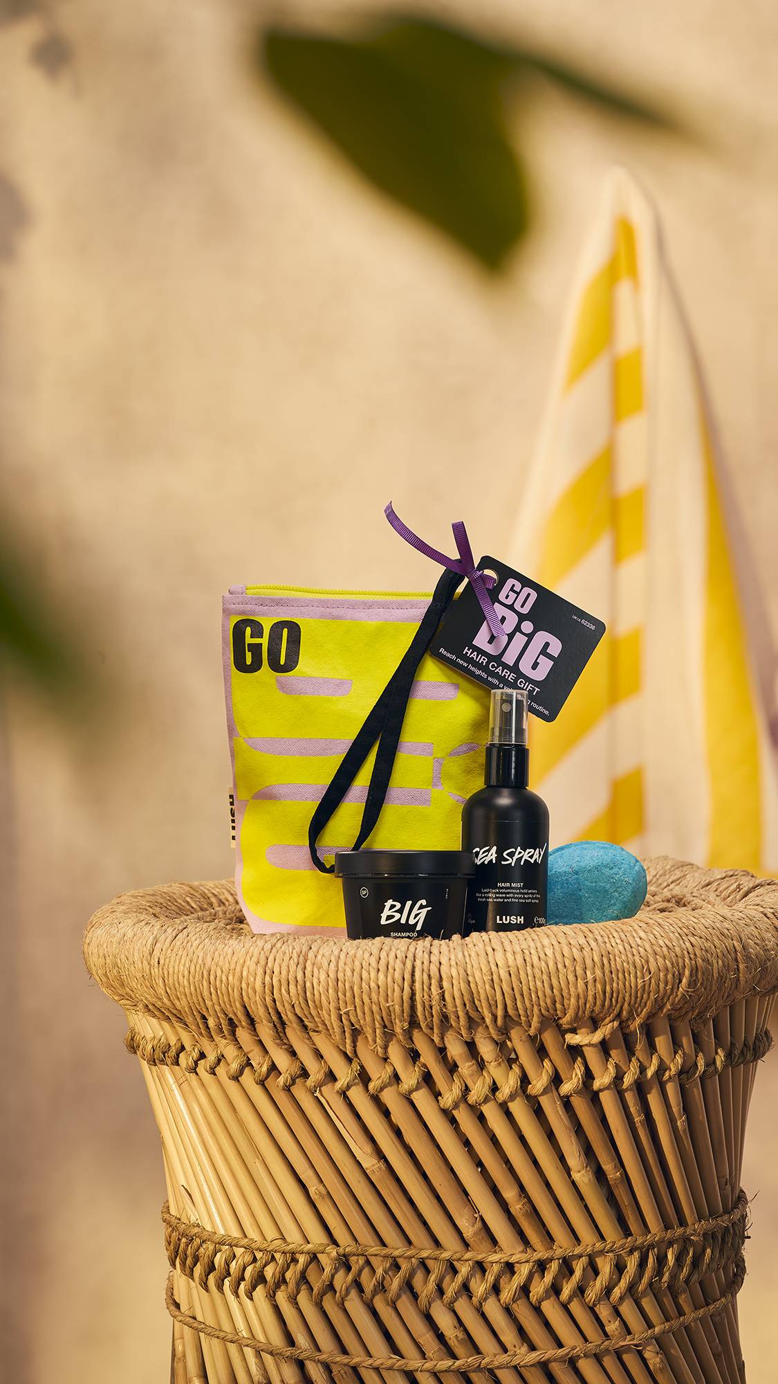 Go Big(Gift)