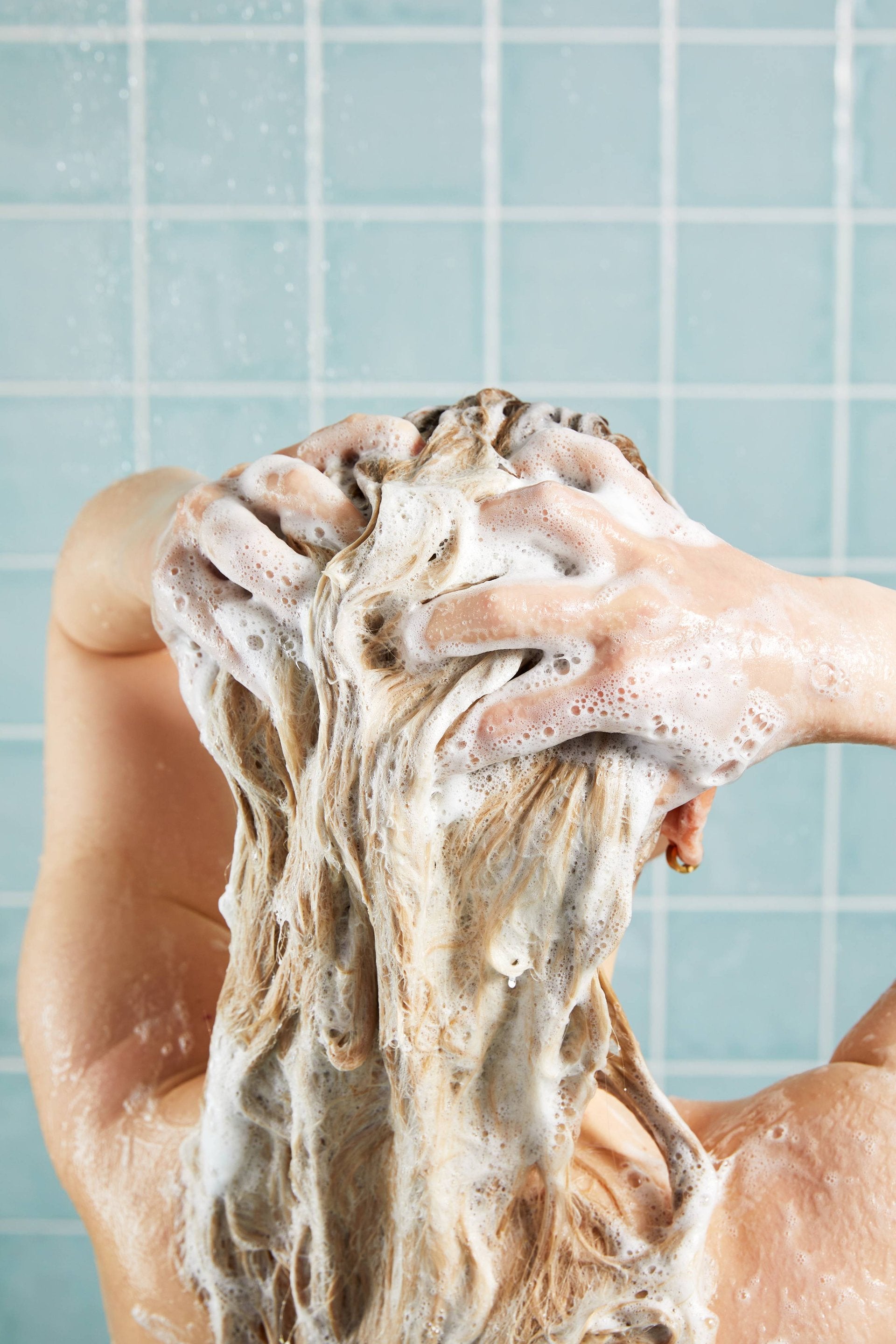 Wasabi Shan Kui(Shampoo)