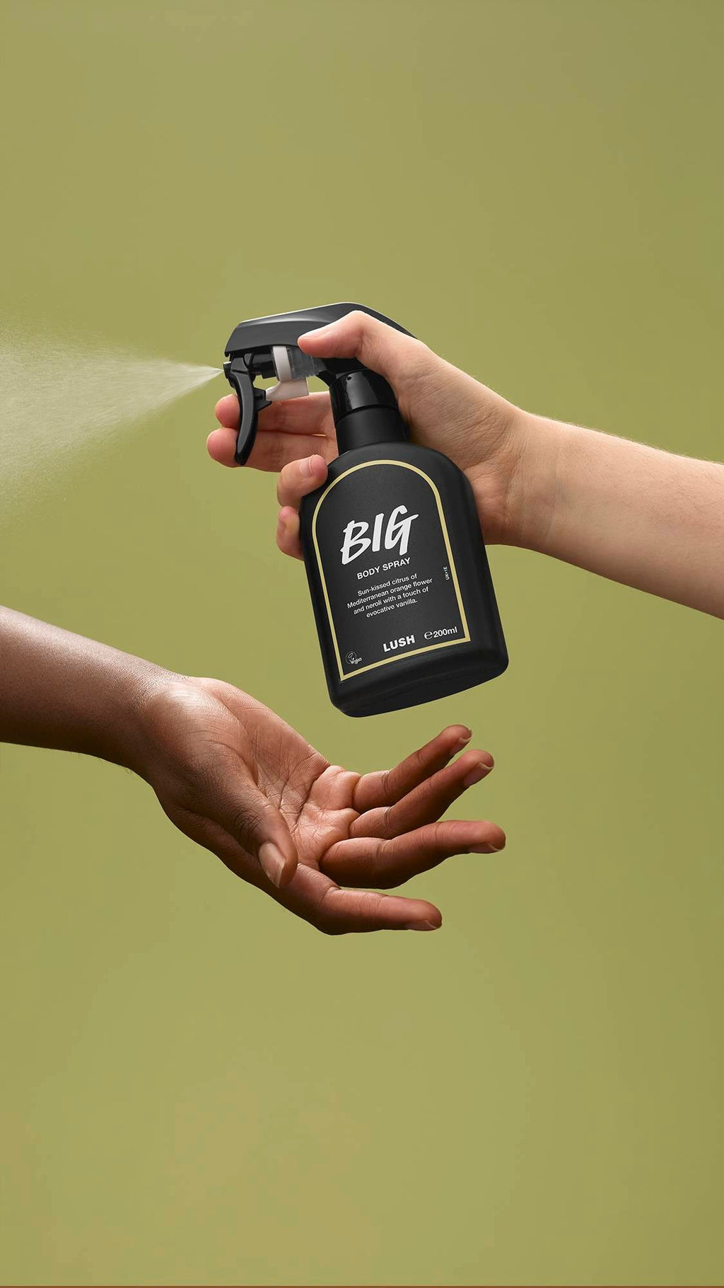 Big(Body Spray)