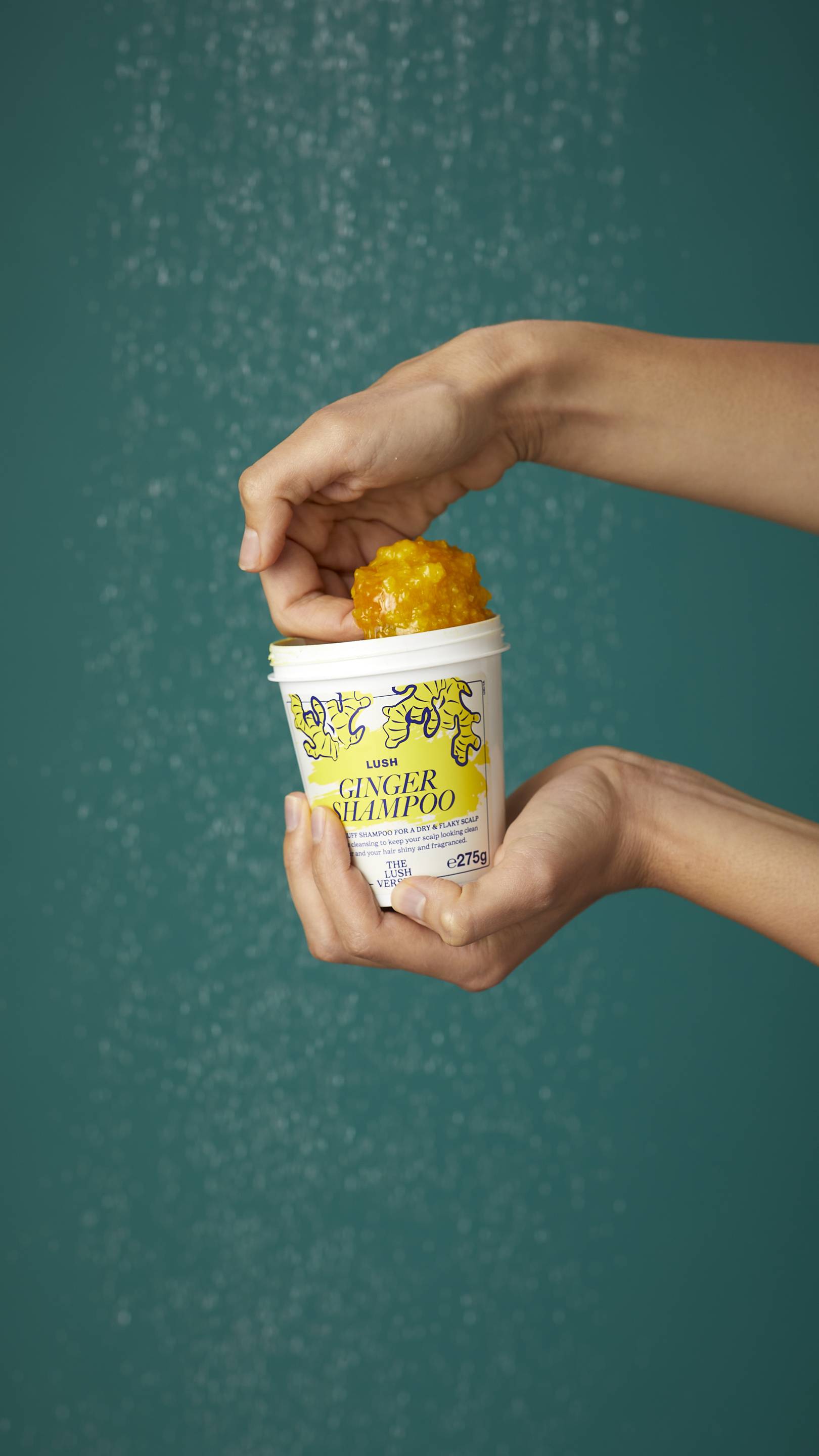 Ginger(Shampoo)