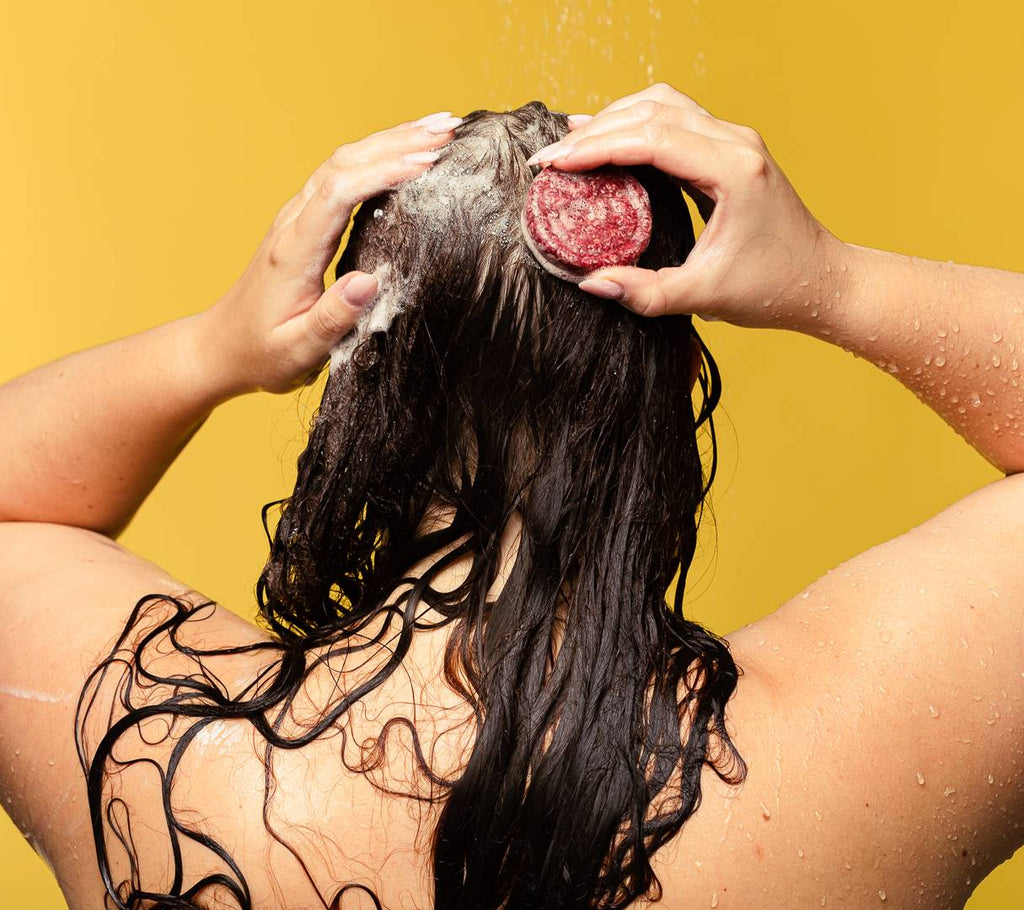 Jason and the Argan Oil(Shampoo Bar)