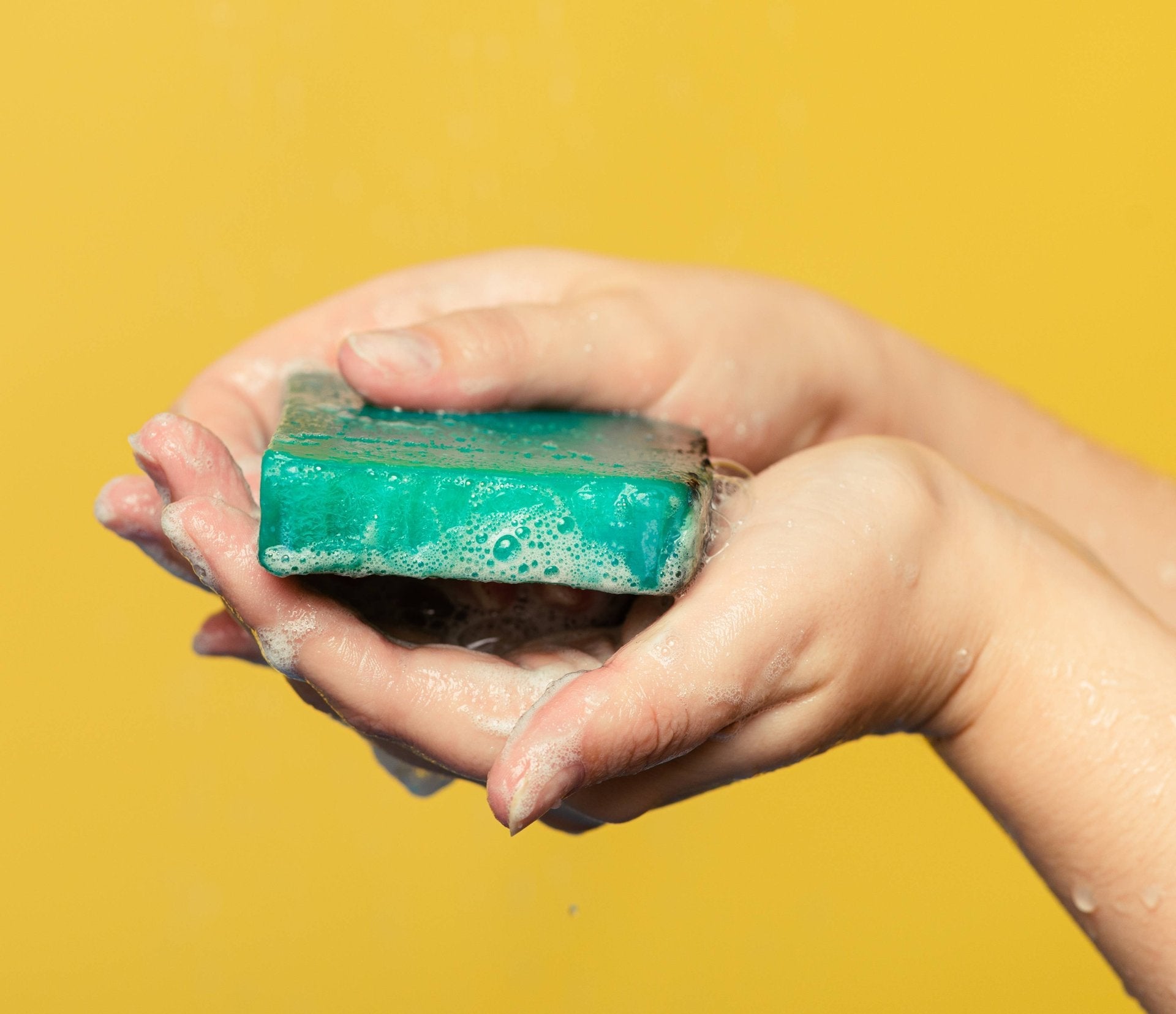 Sea Vegetable(Soap)