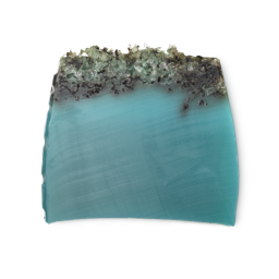 Sea Vegetable(Soap)