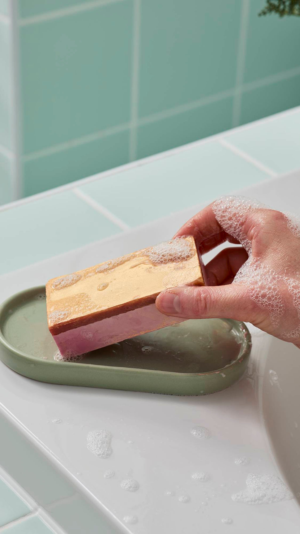 The Goose's Golden Egg(Soap)