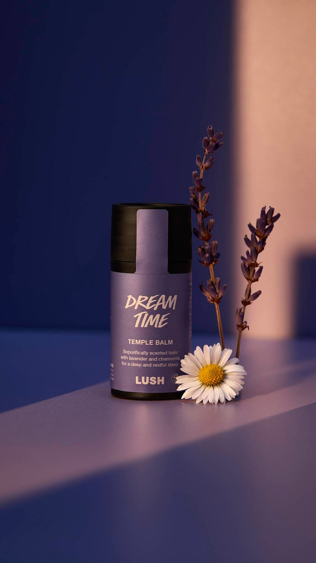 Dream Time(Dream Time)