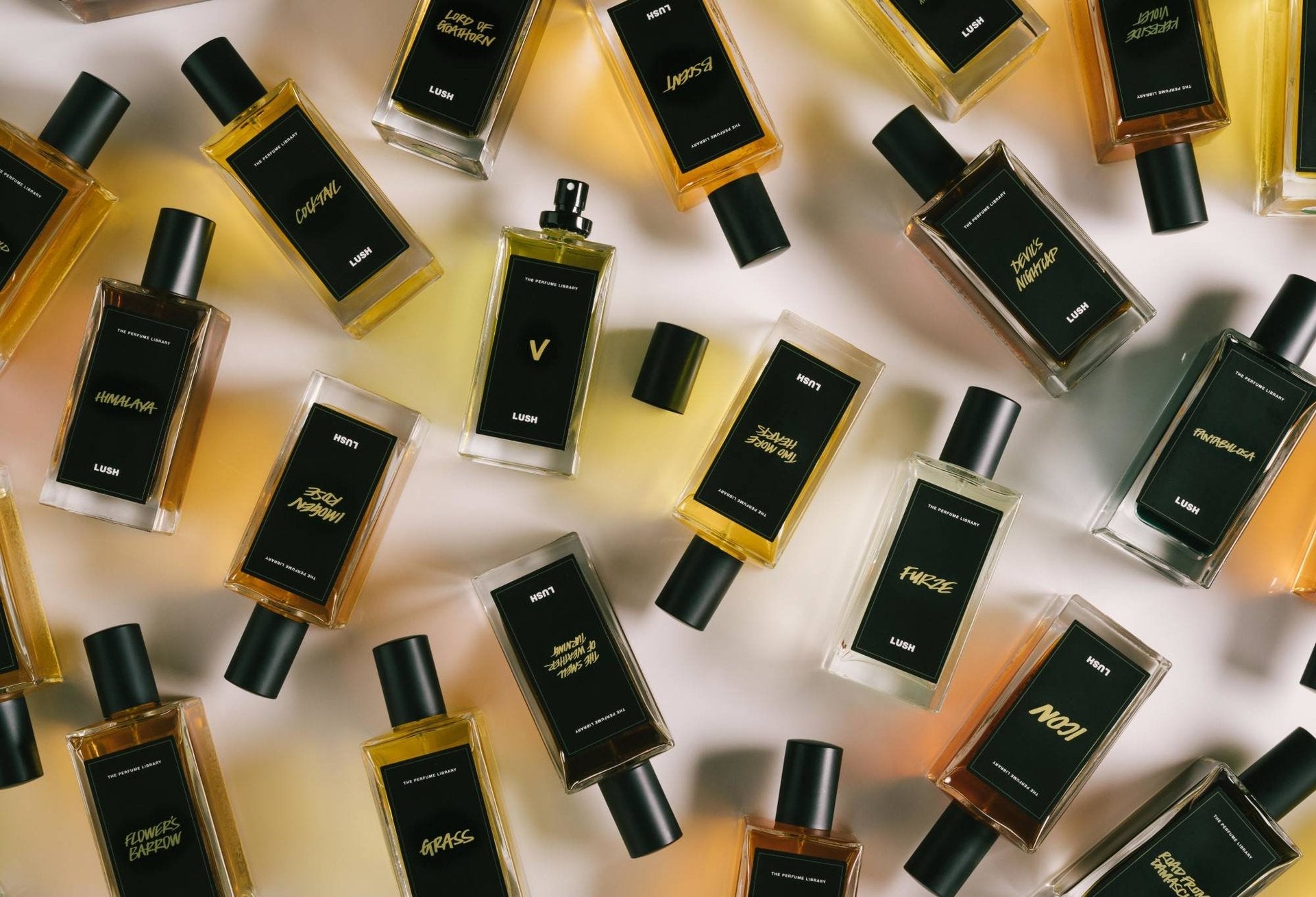 V(Perfume)