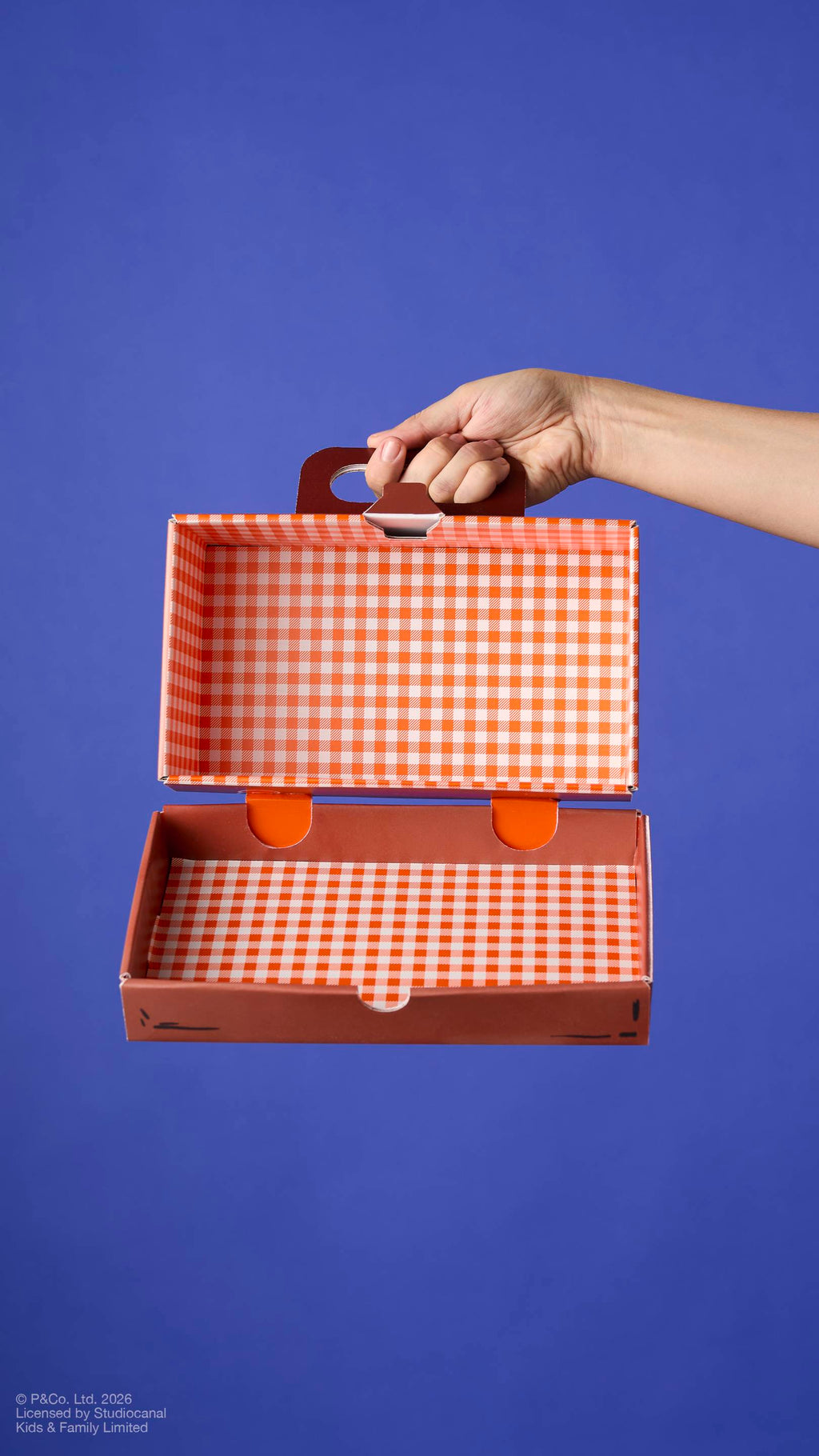 Suitcase(Product Holder)