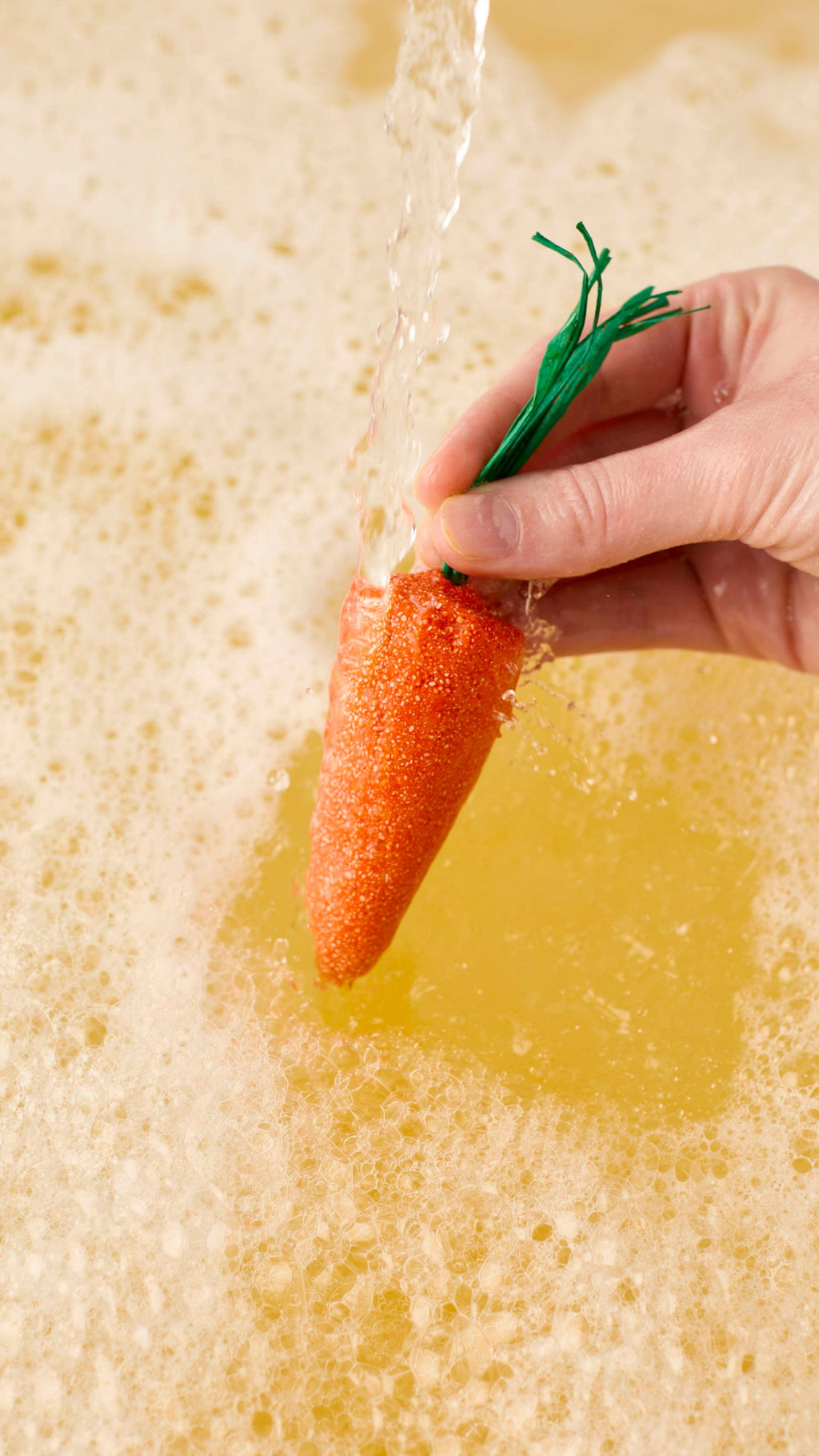 Chris The Carrot(Gift)