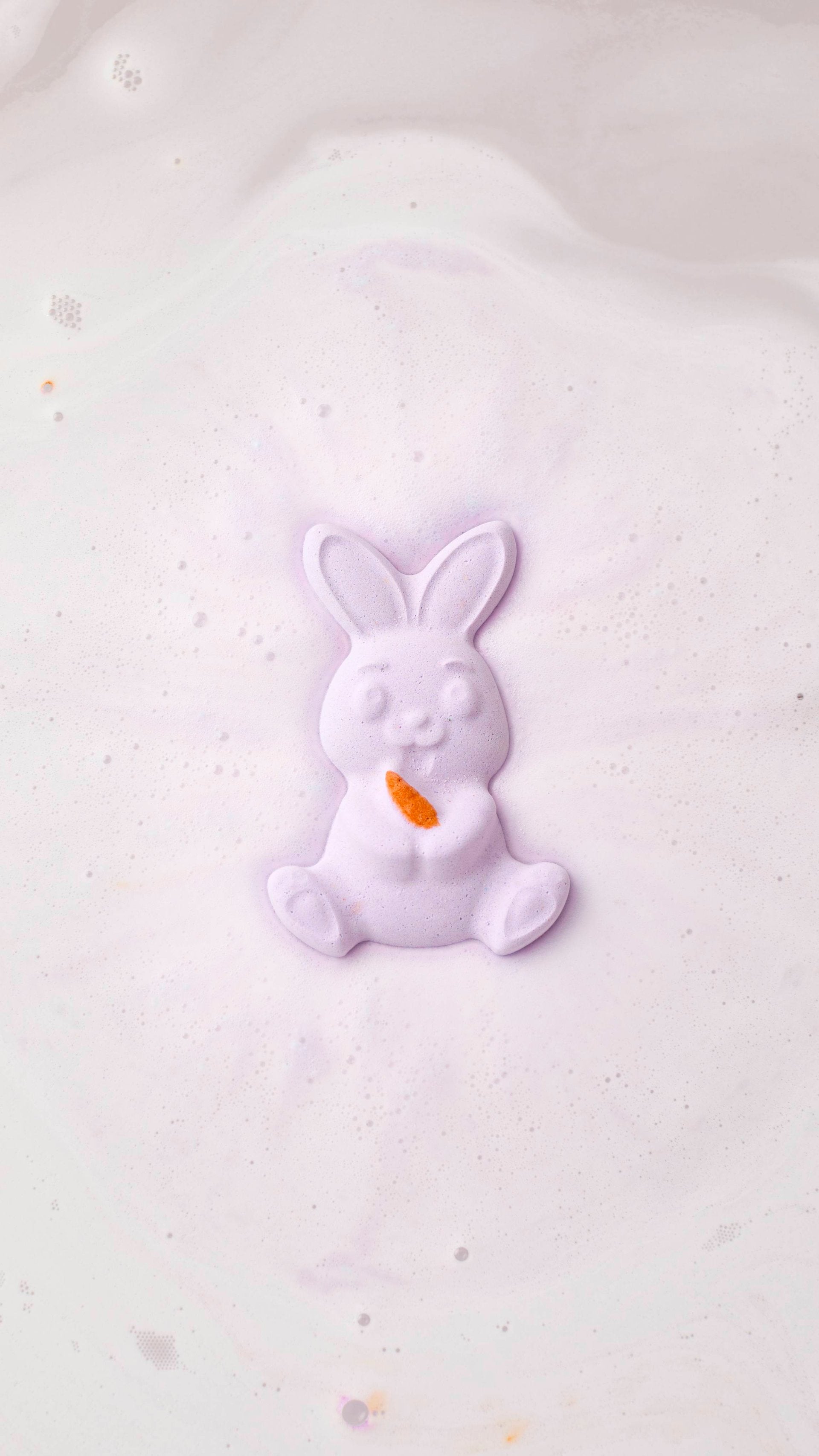 Hey Bun!(Gift)